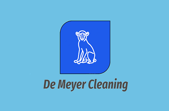 ruitenwassers Wommelgem De Meyer Cleaning